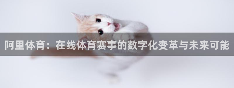龙门直播在线观看：阿里体育：在线体育赛事的数字化变革与未来可能