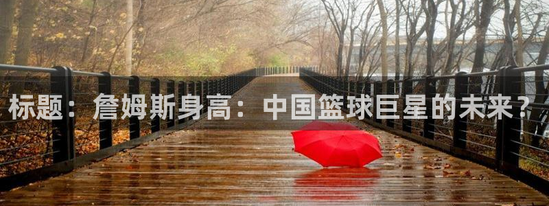 龙门直播nba下载：标题：詹姆斯身高：中国篮球巨星的未来？
