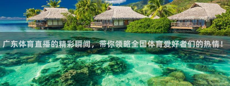 龙门飞甲粤语在线看：广东体育直播的精彩瞬间，带你领略全国体育爱好者们的热情！